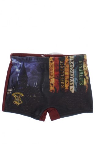 Μαγιό παιδικό Harry Potter, Μέγεθος 4-5y/ 110-116 εκ., Χρώμα Πολύχρωμο, Τιμή 5,49 €