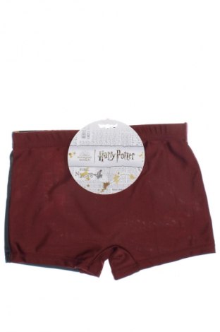 Kinderbadeanzug Harry Potter, Größe 4-5y/ 110-116 cm, Farbe Mehrfarbig, Preis 4,49 €