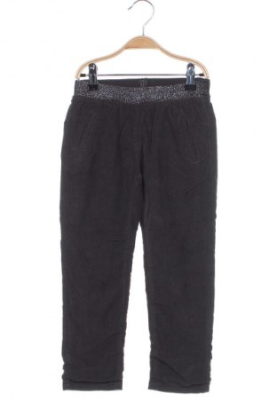 Pantaloni de catifea reiată, pentru copii Overkids, Mărime 4-5y/ 110-116 cm, Culoare Gri, Preț 111,84 Lei