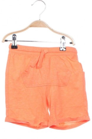 Kinder Shorts Fagottino By Oviesse, Größe 2-3y/ 98-104 cm, Farbe Orange, Preis € 4,99