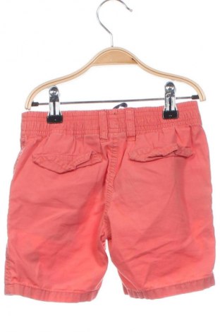 Kinder Shorts Lupilu, Größe 2-3y/ 98-104 cm, Farbe Rosa, Preis 5,05 €