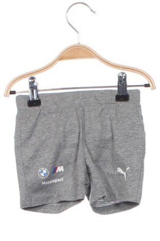 Kinder Shorts PUMA, Größe 3-6m/ 62-68 cm, Farbe Grau, Preis 1,99 €