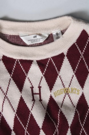 Detský sveter  H&M, Veľkosť 12-13y/ 158-164 cm, Farba Viacfarebná, Cena  4,45 €