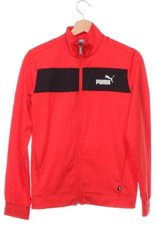 Dziecięca sportowa bluza PUMA, Rozmiar 12-13y/ 158-164 cm, Kolor Czerwony, Cena 55,98 zł