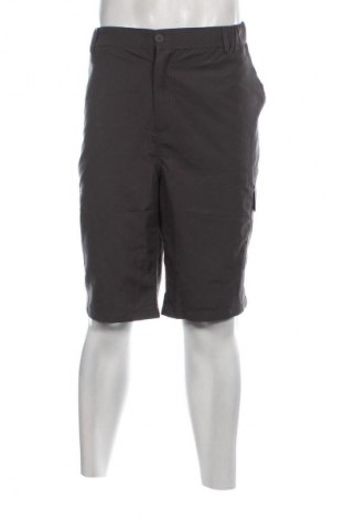 Herren Shorts Atlas For Men, Größe XL, Farbe Grau, Preis 5,99 €