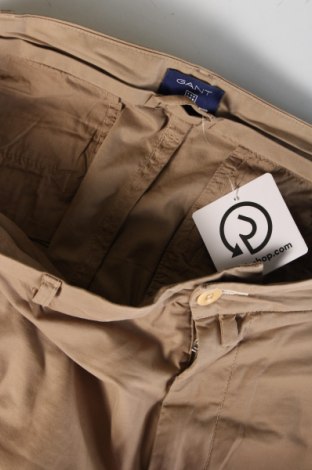 Herren Shorts Gant, Größe XL, Farbe Beige, Preis € 38,00