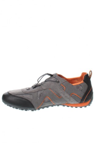 Herrenschuhe Geox, Größe 48, Farbe Grau, Preis 112,37 €