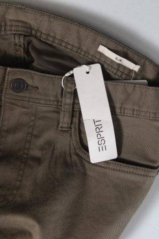 Herrenhose Esprit, Größe S, Farbe Grün, Preis € 13,99