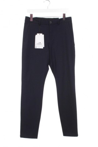 Herrenhose Selected Homme, Größe S, Farbe Blau, Preis 12,99 €