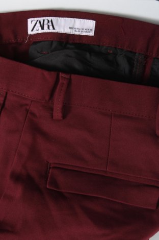 Herrenhose Zara, Größe S, Farbe Rot, Preis € 3,29