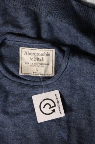 Ανδρικό πουλόβερ Abercrombie & Fitch, Μέγεθος L, Χρώμα Μπλέ, Τιμή 38,35 €