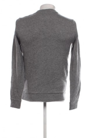 Herrenpullover DKNY, Größe S, Farbe Grau, Preis € 30,49