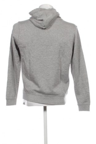 Herren Sweatshirt Petrol Industries, Größe M, Farbe Grau, Preis 15,99 €