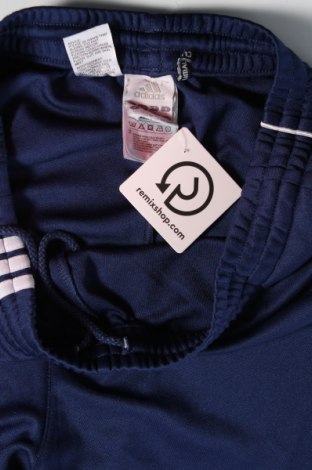 Pánské tepláky  Adidas, Velikost M, Barva Modrá, Cena  654,00 Kč