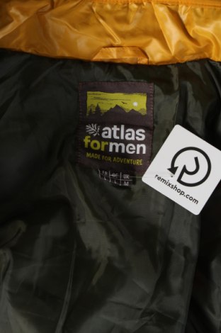 Herrenjacke Atlas For Men, Größe L, Farbe Gelb, Preis € 33,40