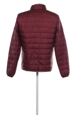 Herrenjacke House, Größe M, Farbe Rot, Preis € 15,49