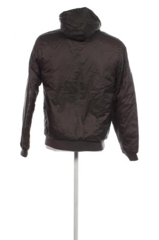 Herrenjacke Shine Original, Größe M, Farbe Grün, Preis 16,99 €