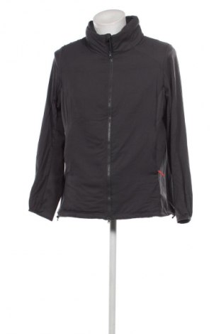 Ανδρικό μπουφάν Tchibo, Μέγεθος XL, Χρώμα Γκρί, Τιμή 13,95 €