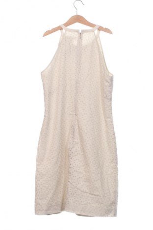 Kleid Banana Republic, Größe S, Farbe Beige, Preis 38,99 €