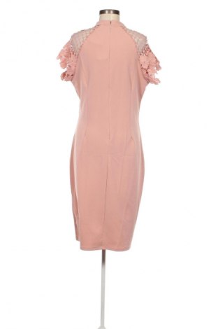 Kleid Coast, Größe L, Farbe Rosa, Preis 16,99 €