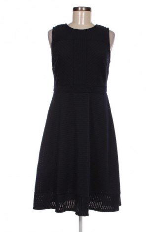 Kleid Dorothy Perkins, Größe L, Farbe Blau, Preis 18,79 €