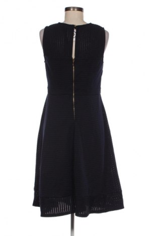 Kleid Dorothy Perkins, Größe L, Farbe Blau, Preis 18,79 €