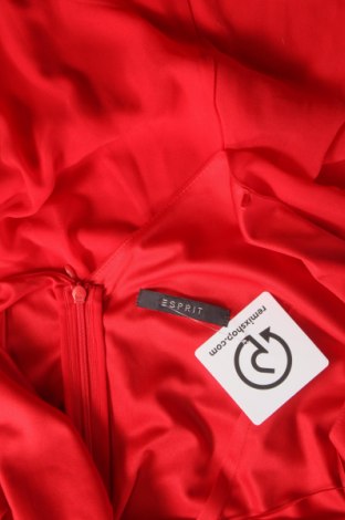 Kleid Esprit, Größe M, Farbe Rot, Preis € 25,17