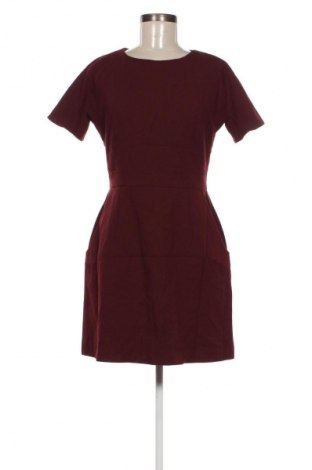 Kleid French Connection, Größe M, Farbe Lila, Preis € 57,06