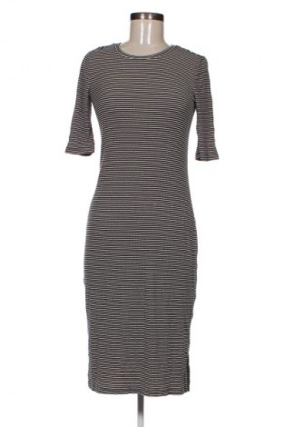 Kleid Gap, Größe S, Farbe Mehrfarbig, Preis 16,70 €