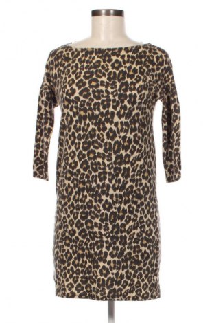 Φόρεμα Promod, Μέγεθος M, Χρώμα Πολύχρωμο, Τιμή 14,85 €