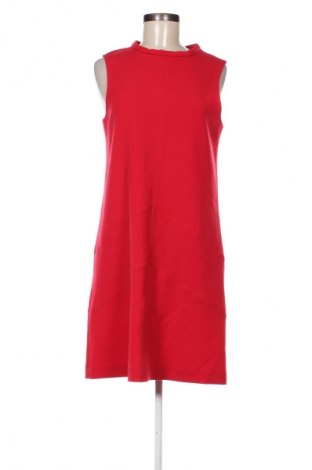 Kleid Tara Jarmon, Größe M, Farbe Rot, Preis 49,99 €