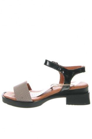 Sandalen Galdini, Größe 37, Farbe Mehrfarbig, Preis 63,43 €