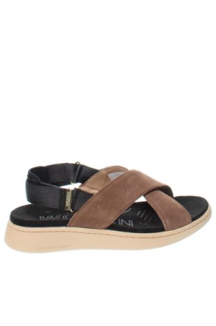 Sandalen Woden, Größe 40, Farbe Braun, Preis € 35,99