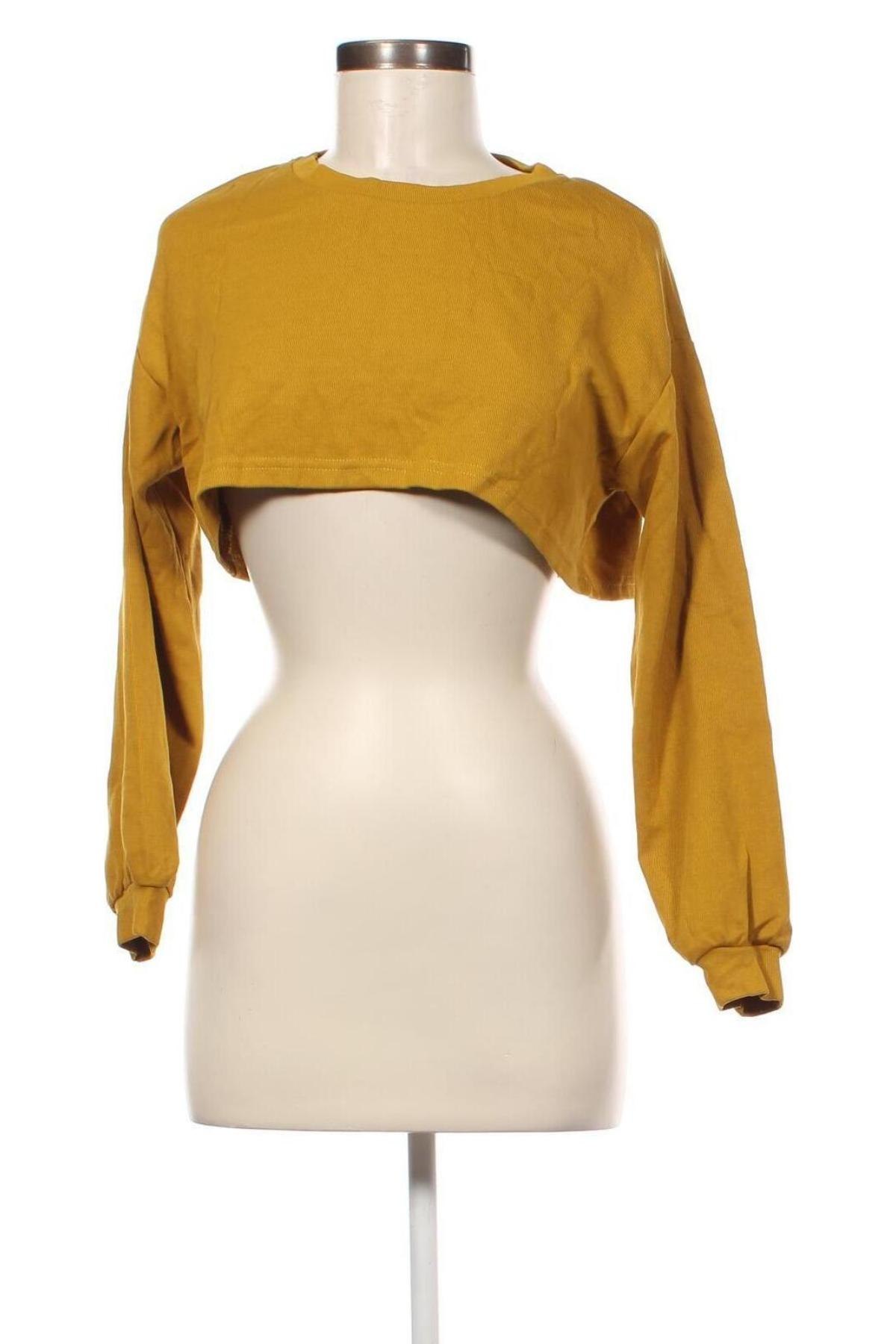 Damen Shirt, Größe S, Farbe Orange, Preis € 4,49