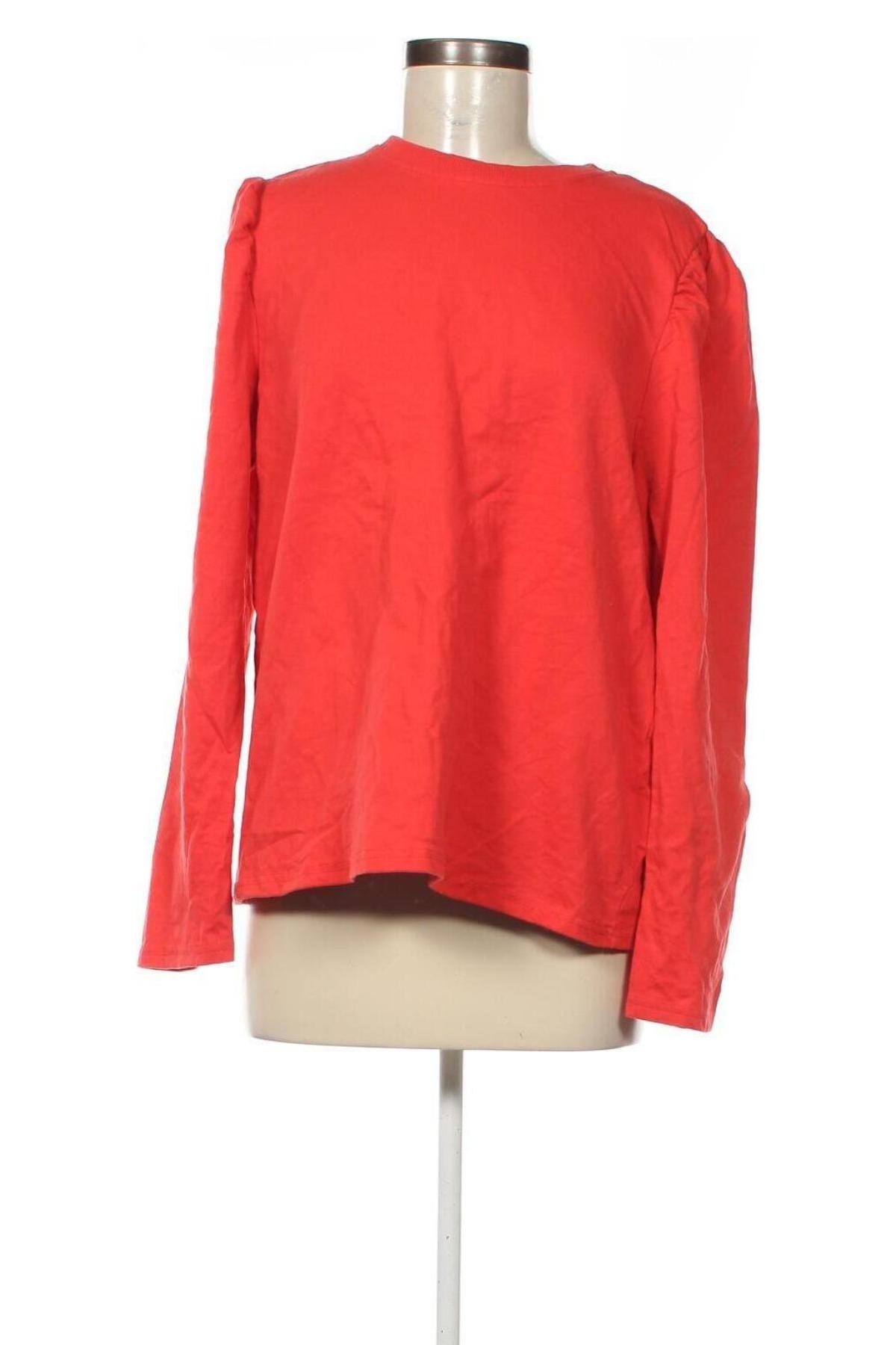 Damen Shirt, Größe L, Farbe Orange, Preis € 4,49