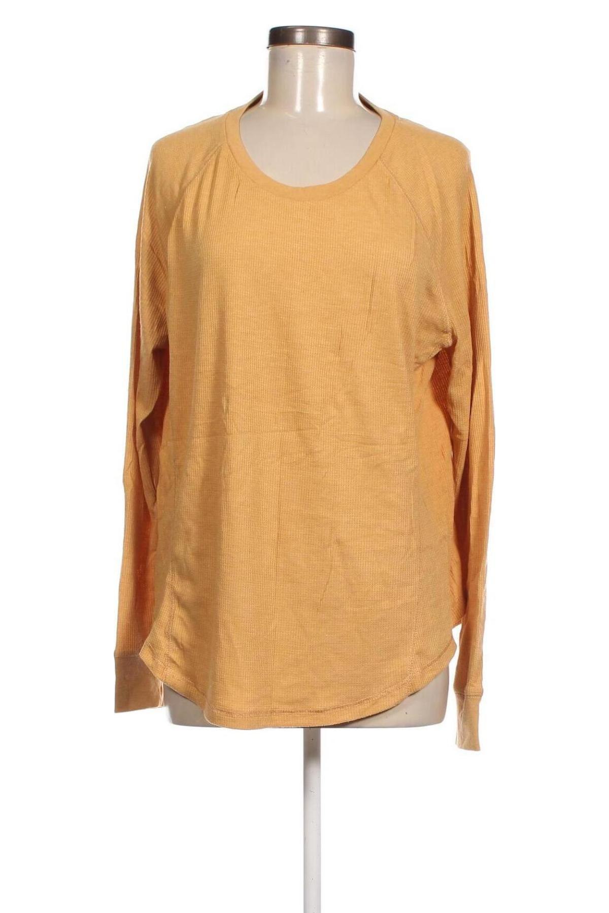 Damen Shirt Cotton On, Größe XL, Farbe Orange, Preis € 4,99