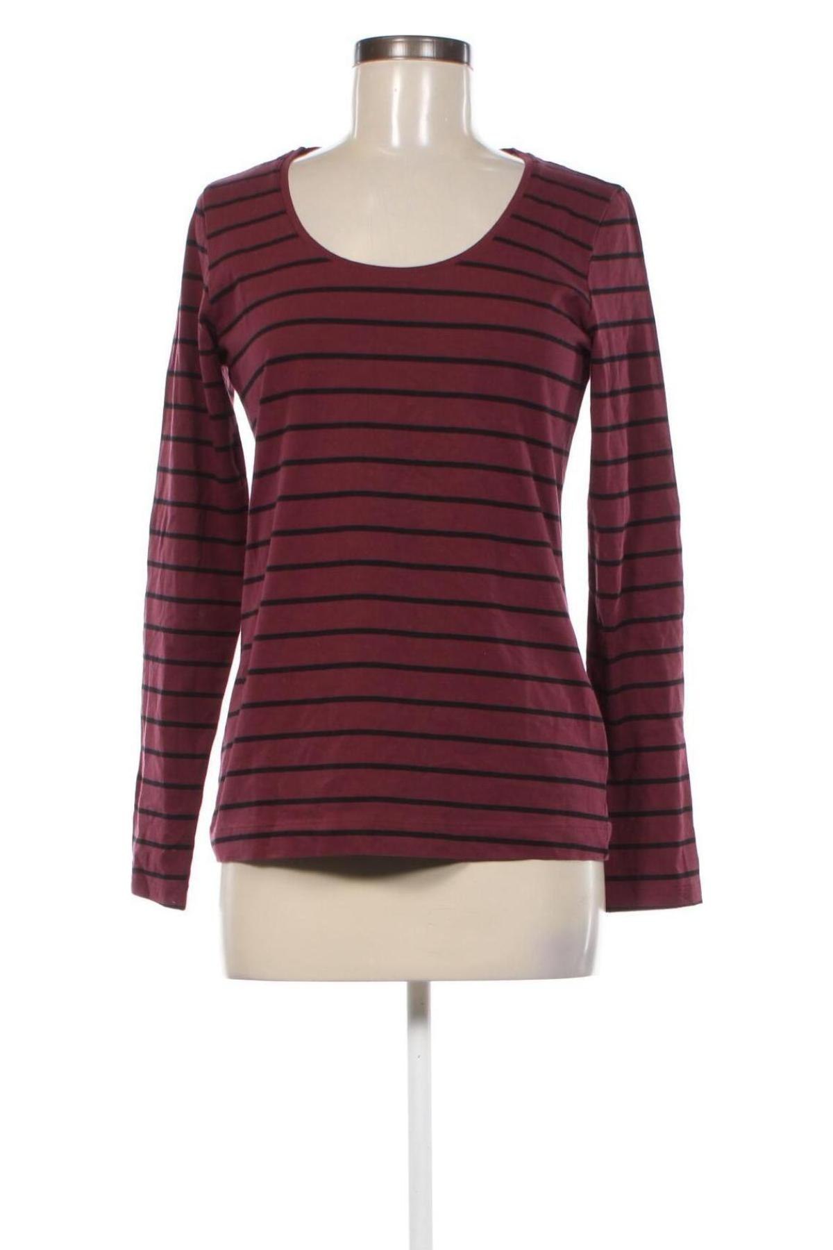 Damen Shirt Esmara, Größe M, Farbe Mehrfarbig, Preis € 6,99