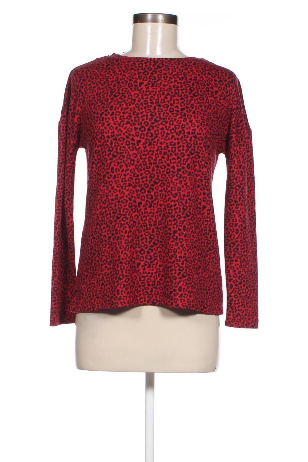 Damen Shirt Inside, Größe S, Farbe Rot, Preis 3,99 €