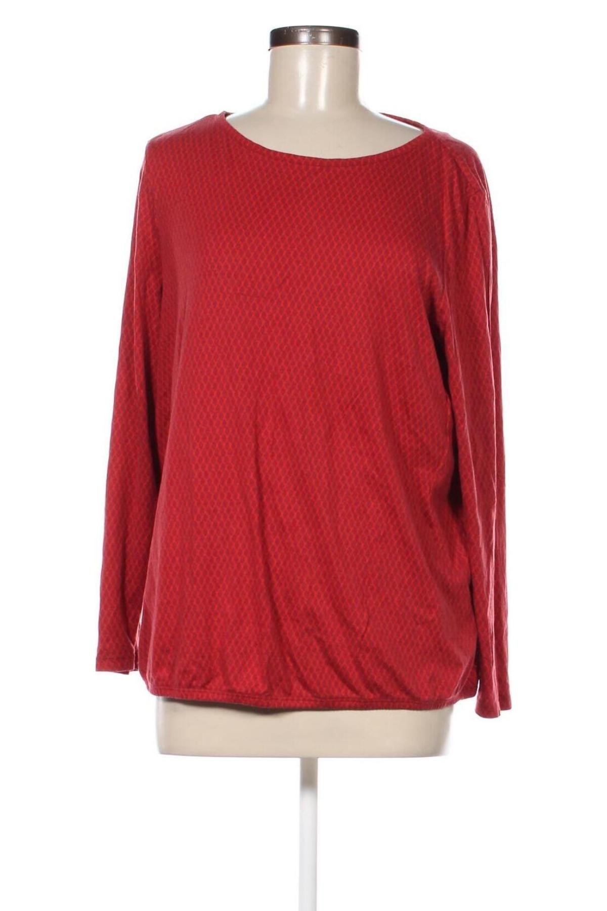 Damen Shirt Montego, Größe XXL, Farbe Rot, Preis € 4,99