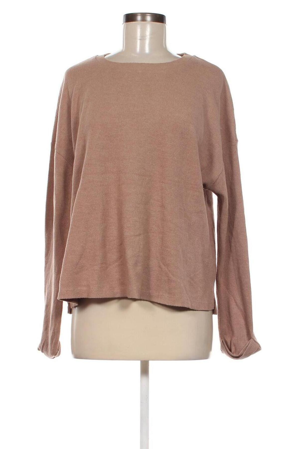 Damen Shirt Primark, Größe M, Farbe Beige, Preis 3,99 €