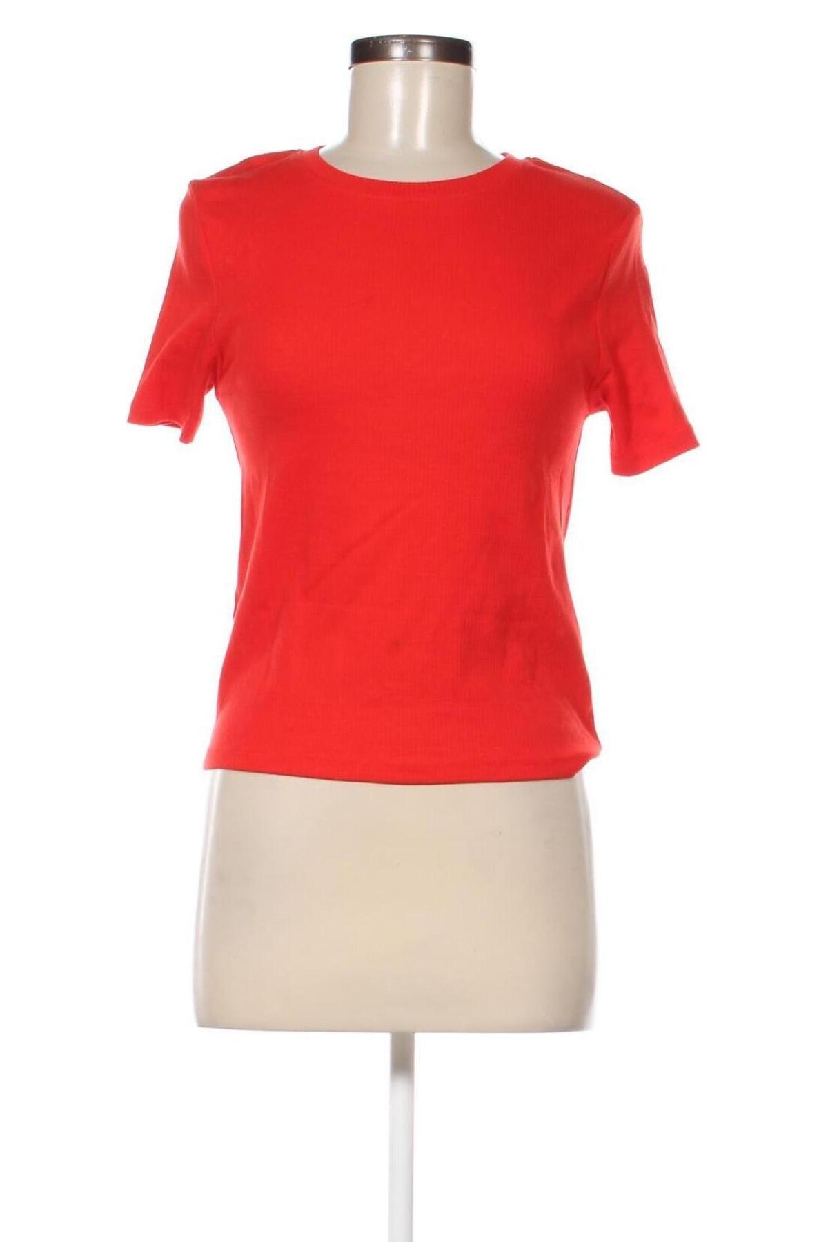 Damen T-Shirt FSBN Sister, Größe L, Farbe Rot, Preis € 8,40