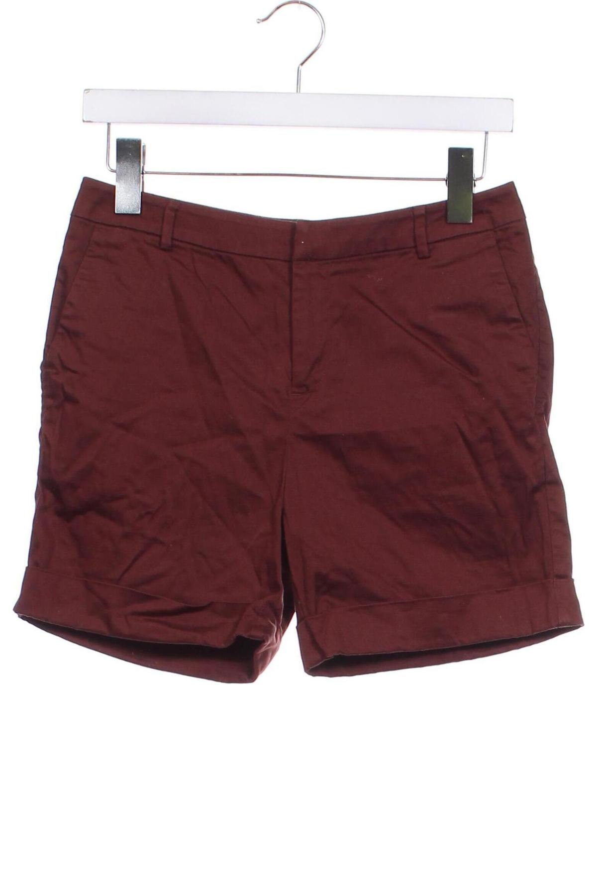 Damen Shorts Maison Scotch, Größe XS, Farbe Braun, Preis € 24,99