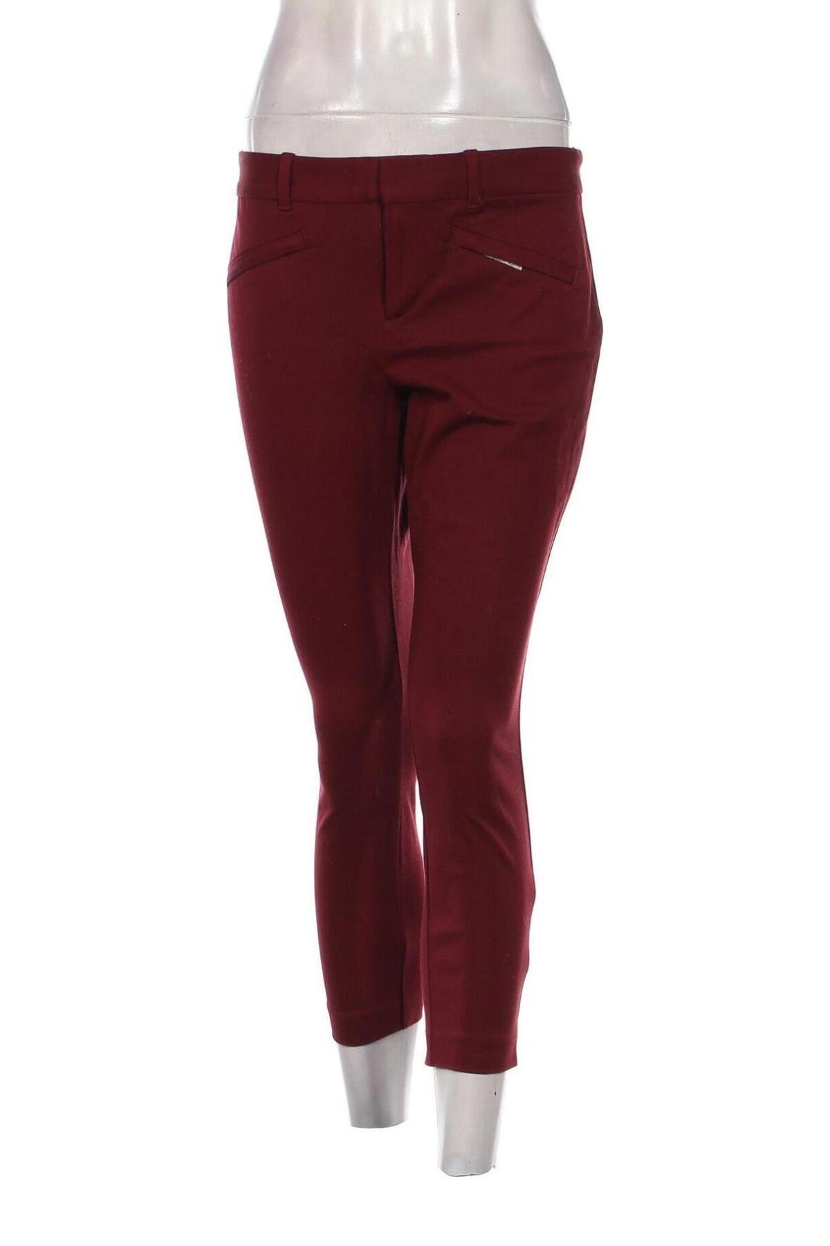 Damenhose Gap, Größe S, Farbe Rot, Preis 3,99 €