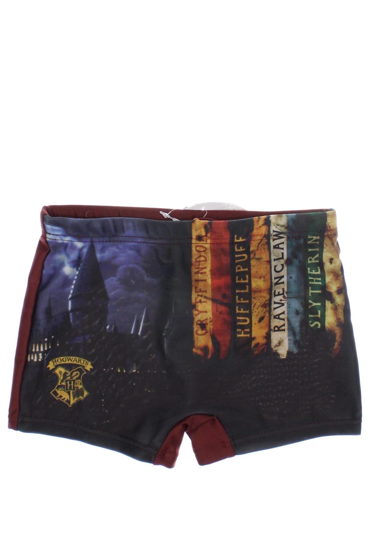 Kinderbadeanzug Harry Potter, Größe 4-5y/ 110-116 cm, Farbe Mehrfarbig, Preis 6,49 €