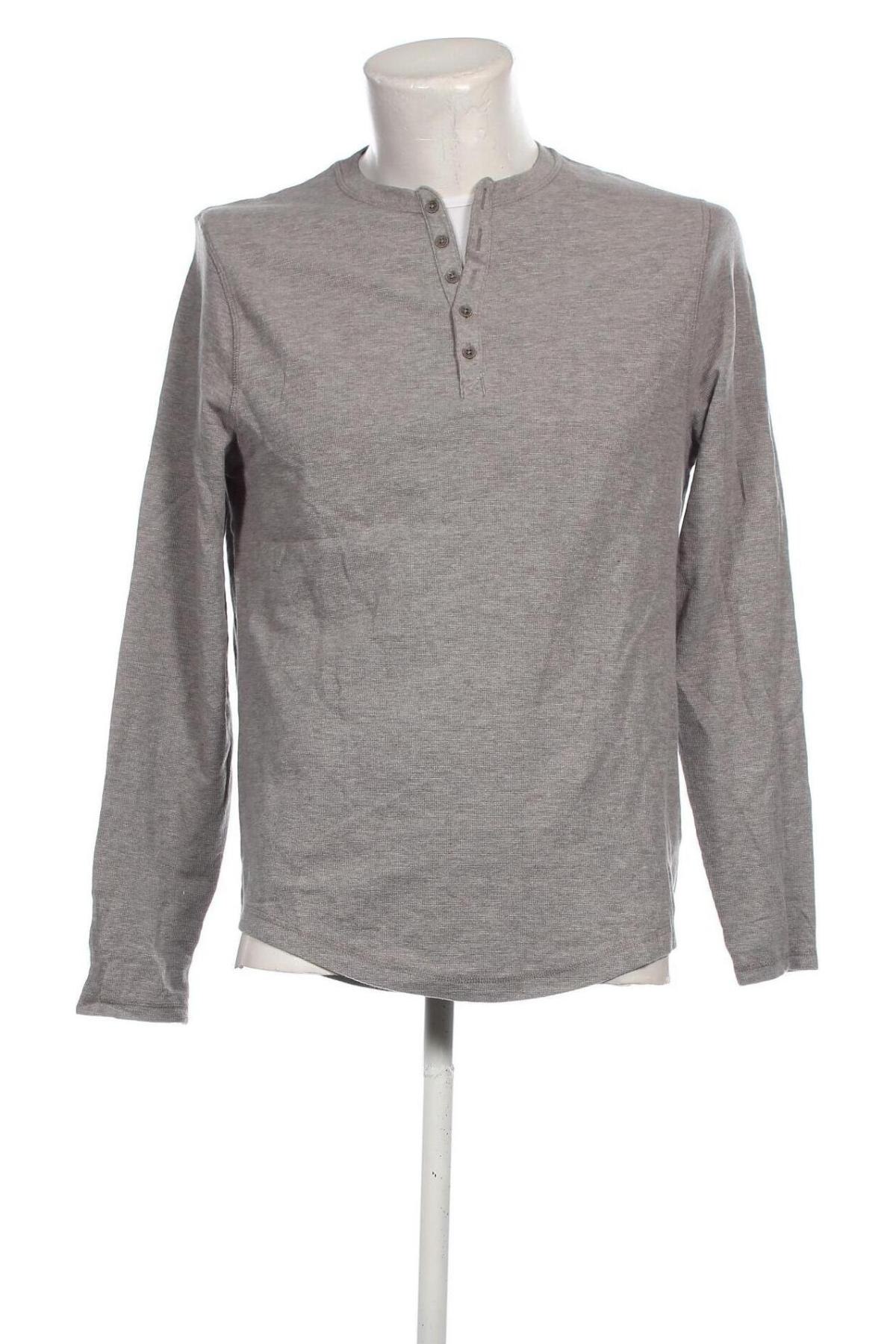 Herren Shirt Mauro Ferrini, Größe L, Farbe Grau, Preis € 5,49