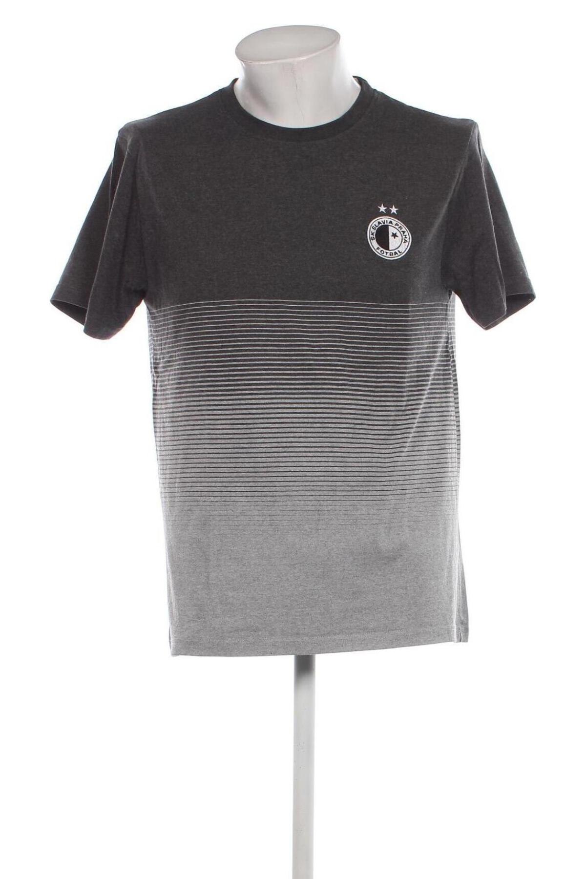 Herren T-Shirt, Größe L, Farbe Grau, Preis 6,67 €