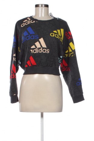 Damen Shirt Adidas, Größe XS, Farbe Mehrfarbig, Preis € 17,39