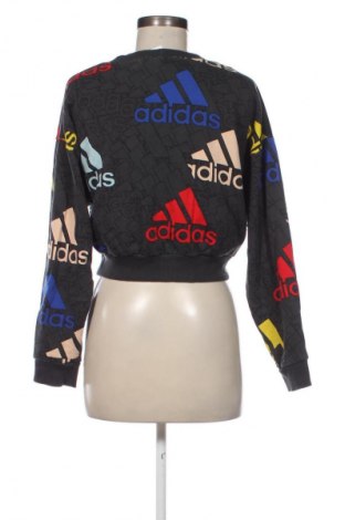Damen Shirt Adidas, Größe XS, Farbe Mehrfarbig, Preis € 17,39