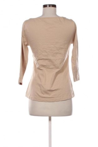 Γυναικεία μπλούζα Basic Collection, Μέγεθος M, Χρώμα Καφέ, Τιμή 12,99 €