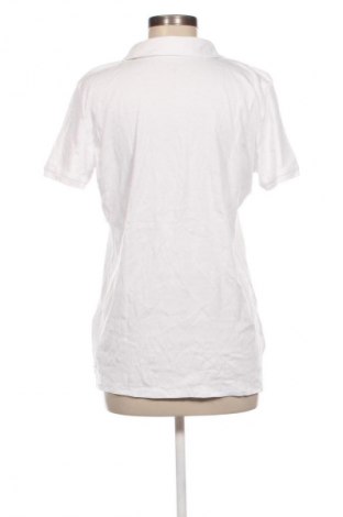 Damen Shirt Basics, Größe XL, Farbe Weiß, Preis 11,99 €